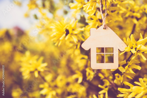 The symbol of the house among the branches of the Forsythia 