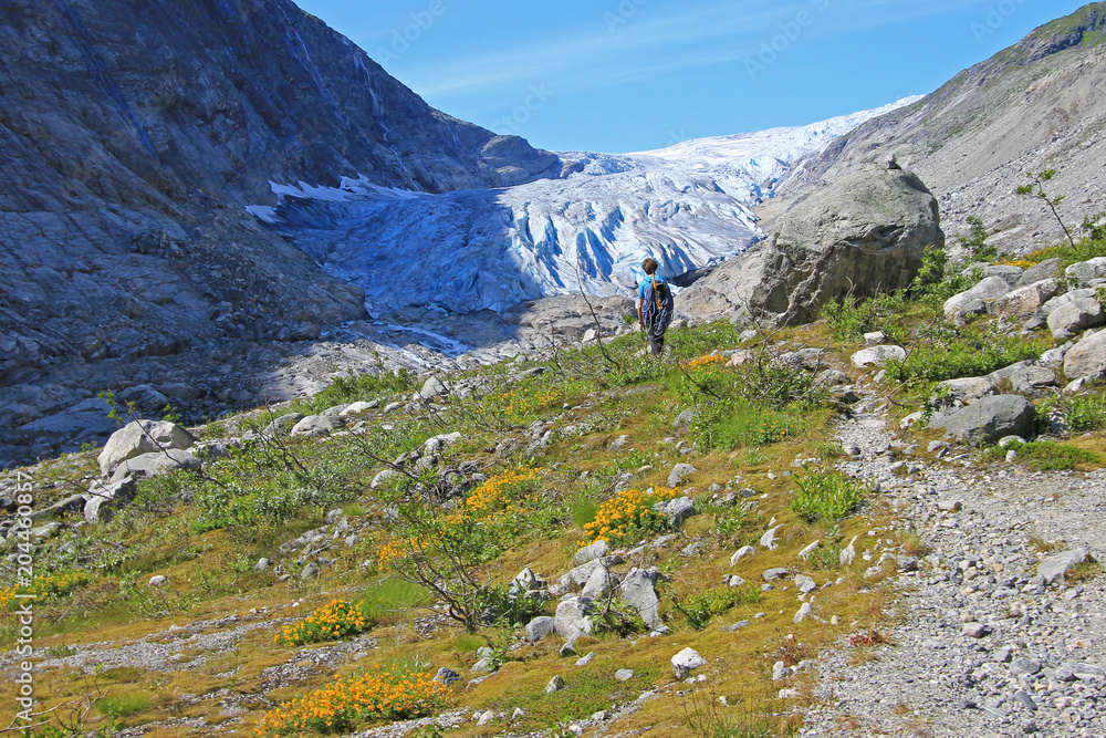 A mountain guide hiking to Fabergstolsbreen, a glacier arm of the large Jostedalsbreen glacier. Fabergstolsbreen lies about 30 kilometres north of the village of Gaupne in the Jostedalen valley