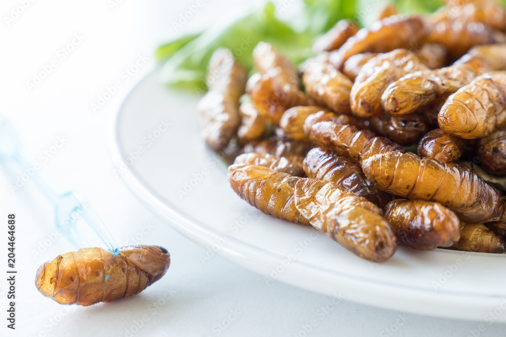 Close up of Fried insects in dish on white background. selective focus Close up of Fried insects in dish on white background. selective focus