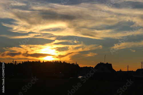 Rural evening landscape - sunset at the edge of the field on the horizon with beautiful clouds in summer © Ilya