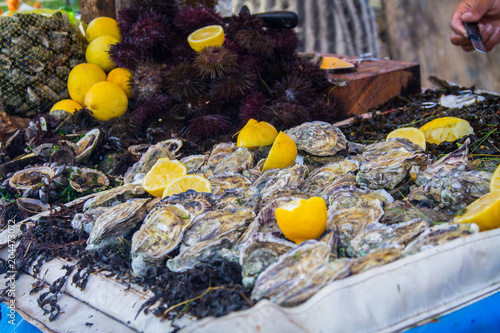 Tray on the fish market in Essaouira with sea urchins oysters and lemons