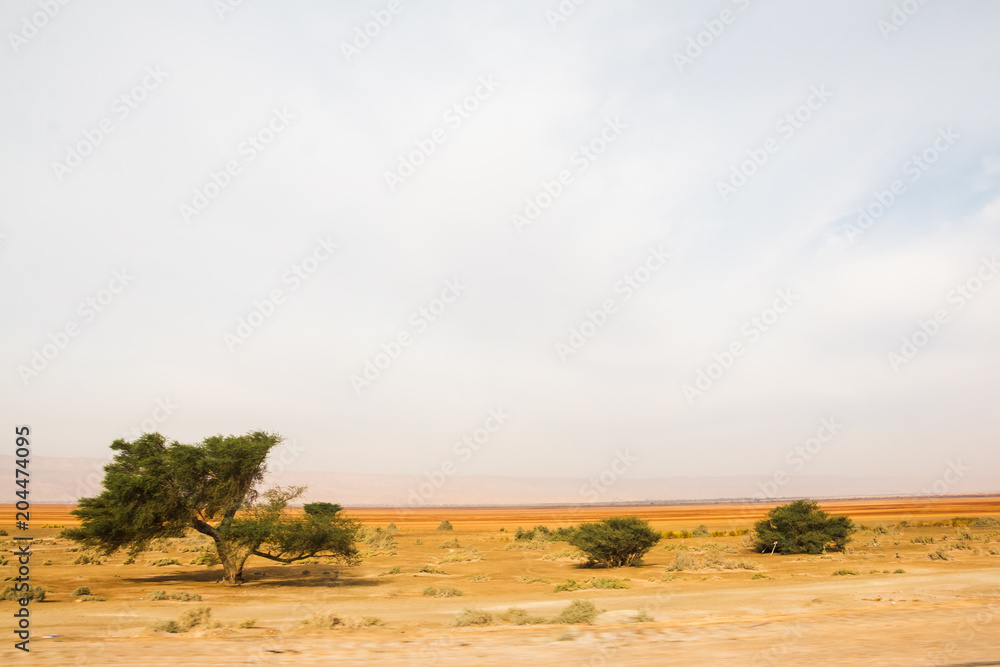 Dru desert with stouns and seldom trees Dru desert with stouns and seldom trees