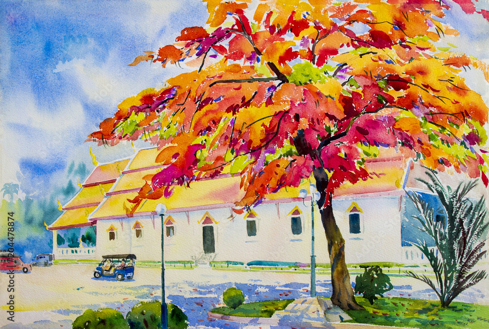 Obraz Krajobrazowy obraz kolorowy pawi kwiat w świątynnym ogródzie.