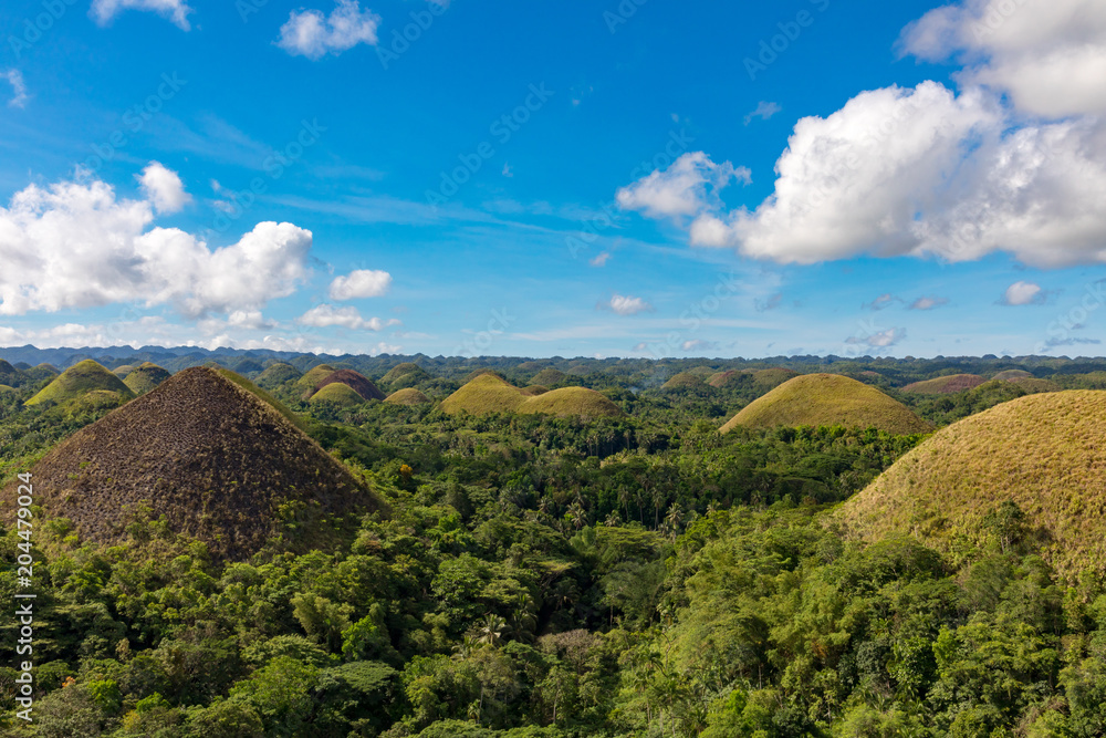 Obraz premium Bohol, Philippines