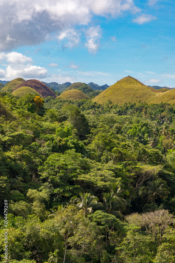 Obraz premium Bohol, Philippines