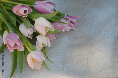 Tulpen auf Vintage Hintergrund