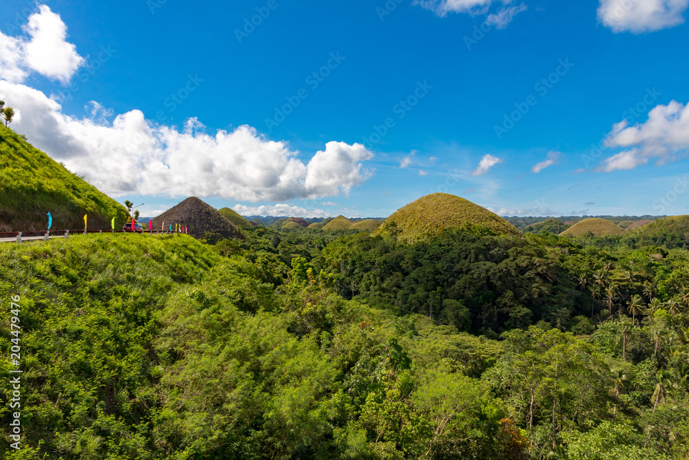 Obraz premium Bohol, Philippines