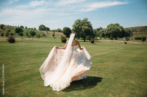 Photography Back view, beautiful bride in luxury fashion white wedding dress with veil on the green golf club glade, wedding day