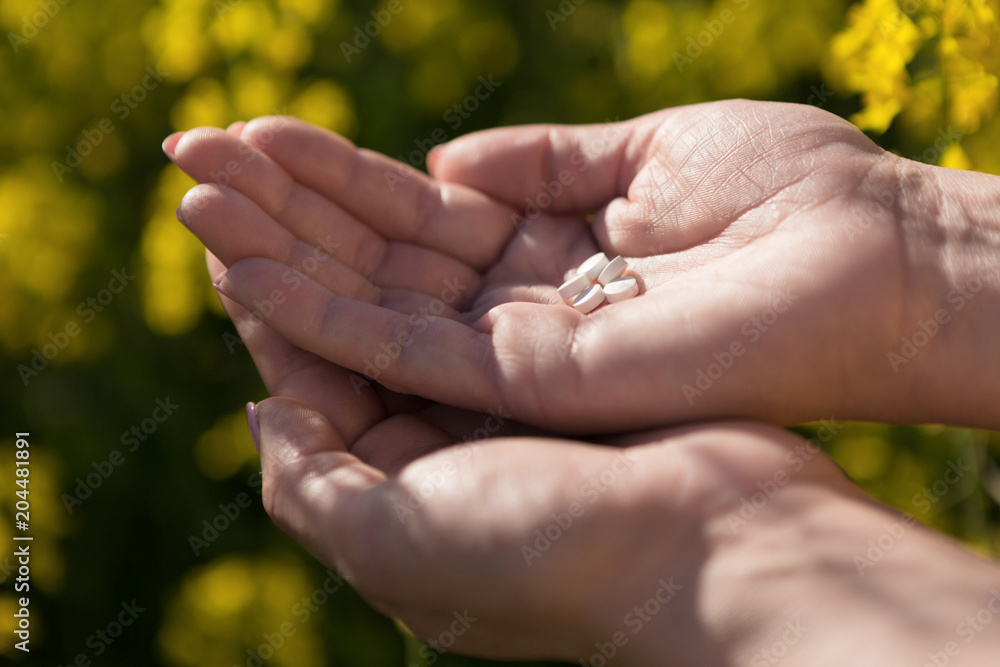 two palms of a woman hold a pill from an allergy against the background of flowering rape, a concept two palms of a woman hold a pill from an allergy against the background of flowering rape, a concept