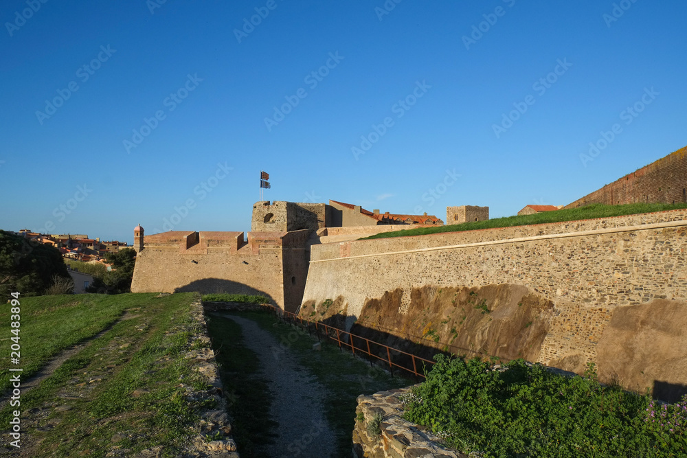 Obraz premium Collioure, medieval fortress called Chateau Royal, Languedoc-Roussillon, France