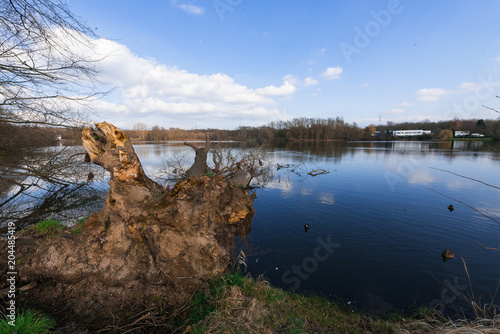 Entwurzelter Baumstamm ragt als Folge eines Sturmschadens in einen See