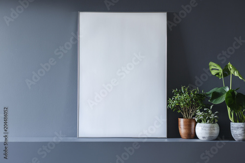 Close-up of mockup of white empty poster next to plants in grey room interior © Photographee.eu