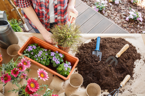Photos Gardener replanting flowers