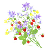 Bunch of bellflowers, buttercups and strawberries, hand drawn vector imitation of watercolor painting.
