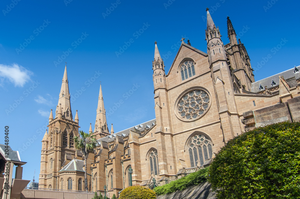 The Metropolitan Cathedral of the Immaculate Mother of God is the cathedral church of the Roman Catholic Archdiocese of Sydney, Australia.