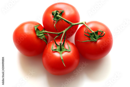 red tomatoes on a branch on a white background photo