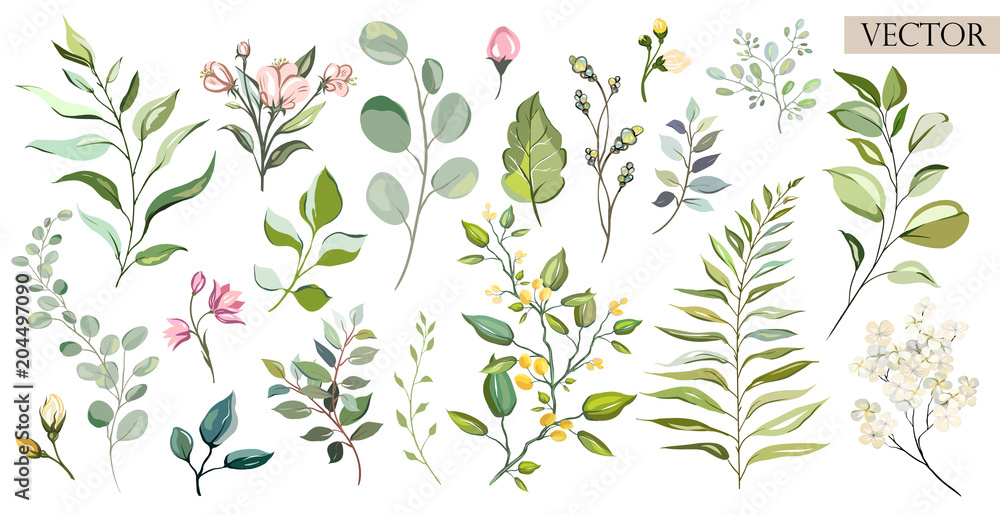 Fototapeta premium Wektorowi Duży Ustaleni botaniczni elementy - wildflowers, ziele, liść. kolekcja ogród i dzikie liście, kwiaty, gałęzie. ilustracja na białym tle, eukaliptus, egzotyczne, tropikalne rośliny