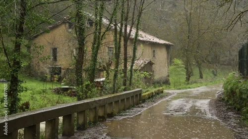 Wallpaper Mural rainy forest house road Torontodigital.ca