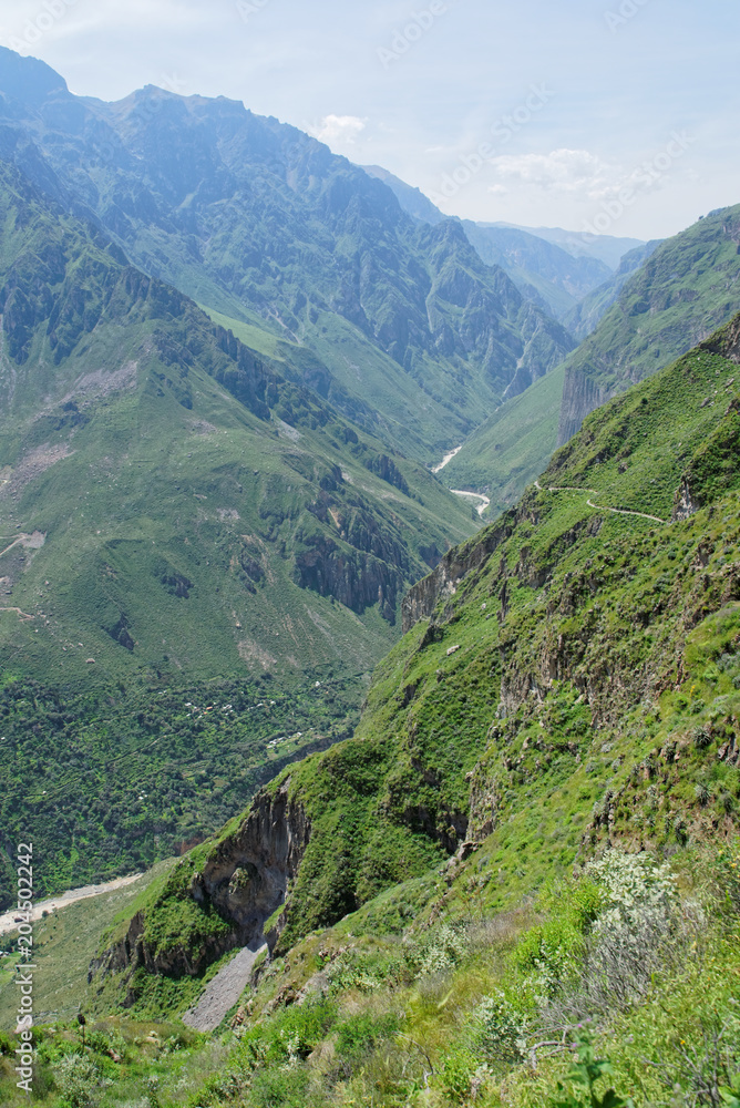 Naklejka premium Colca Canyon in Arequipa Region Hiking Peru