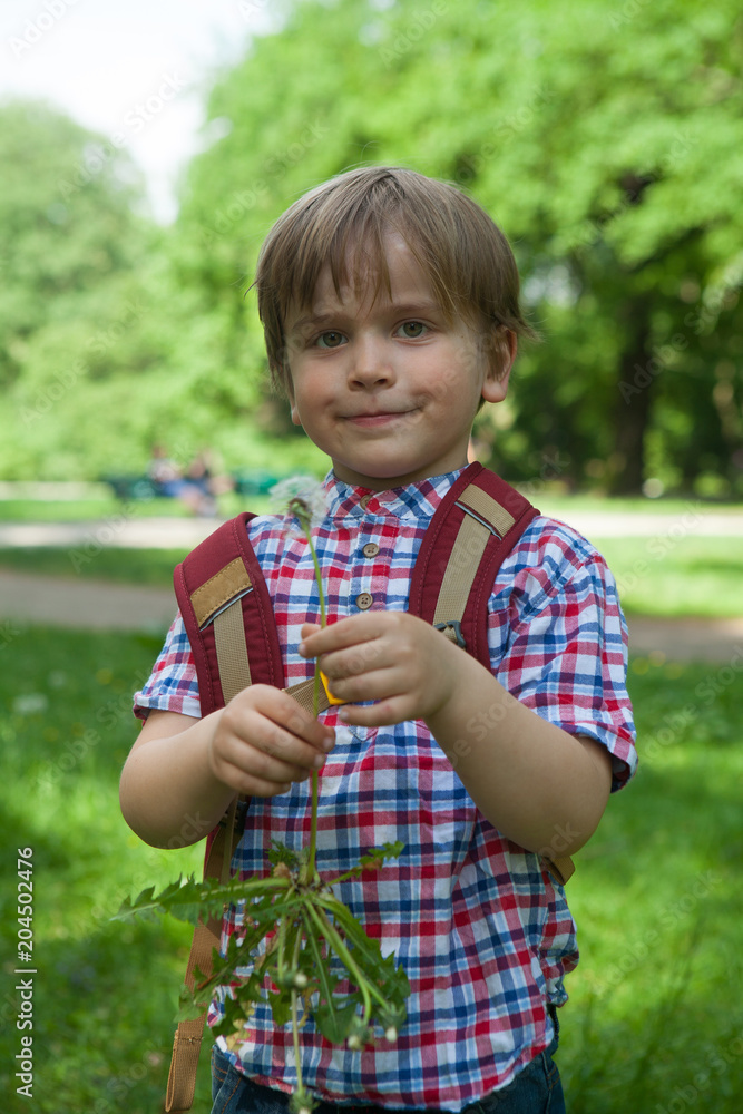 Close-up of little boy holding dandelions Close-up of little boy holding dandelions