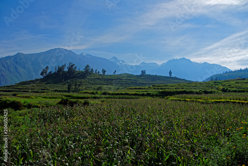 Colca Canyon in Arequipa Region Hiking Peru