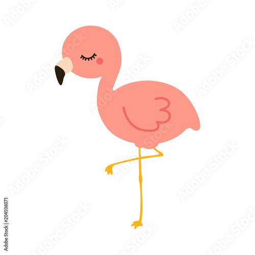 flamingo child