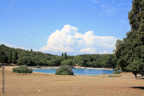 view on Verige bay in N.P. Brioni, Croatia