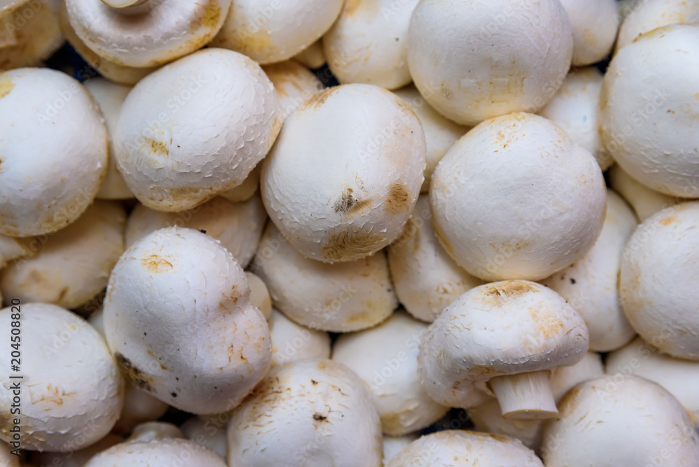 Fresh raw white champignons background