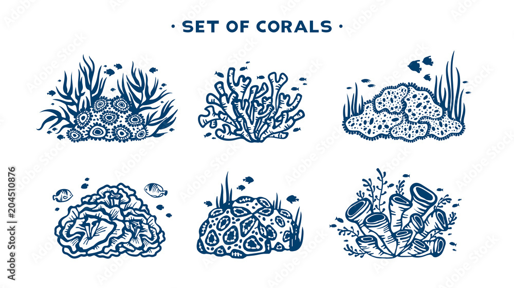 Obraz premium Zestaw wektor rafy koralowej.