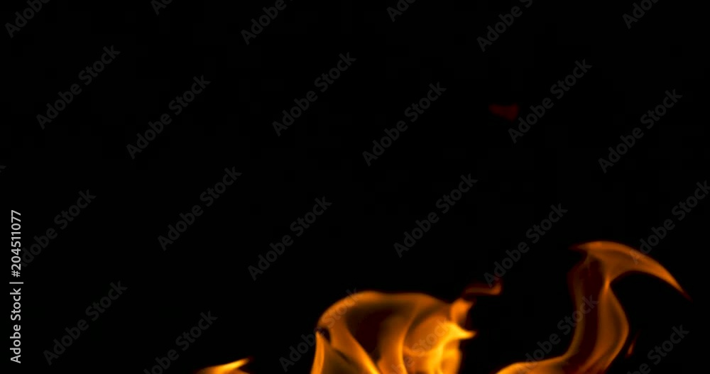 infernal flame on a black background infernal flame on a black background
