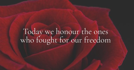 memorial day message with rose background