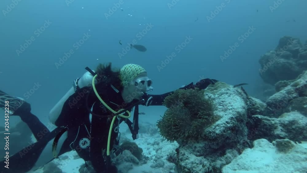 Female scuba diver looks on anemone - Indian Ocean, Maldives
Female scuba diver looks on anemone - Indian Ocean, Maldives