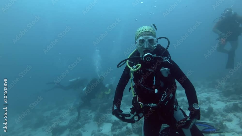 Female scuba diver swim portrays manta ray - Indian Ocean, Maldives
