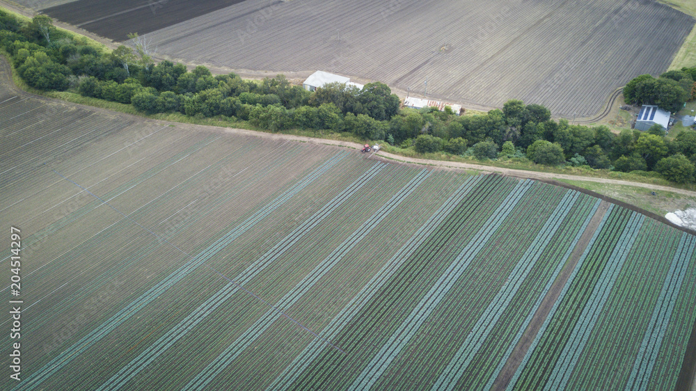 Aerial drone view of fields being watered on farm 