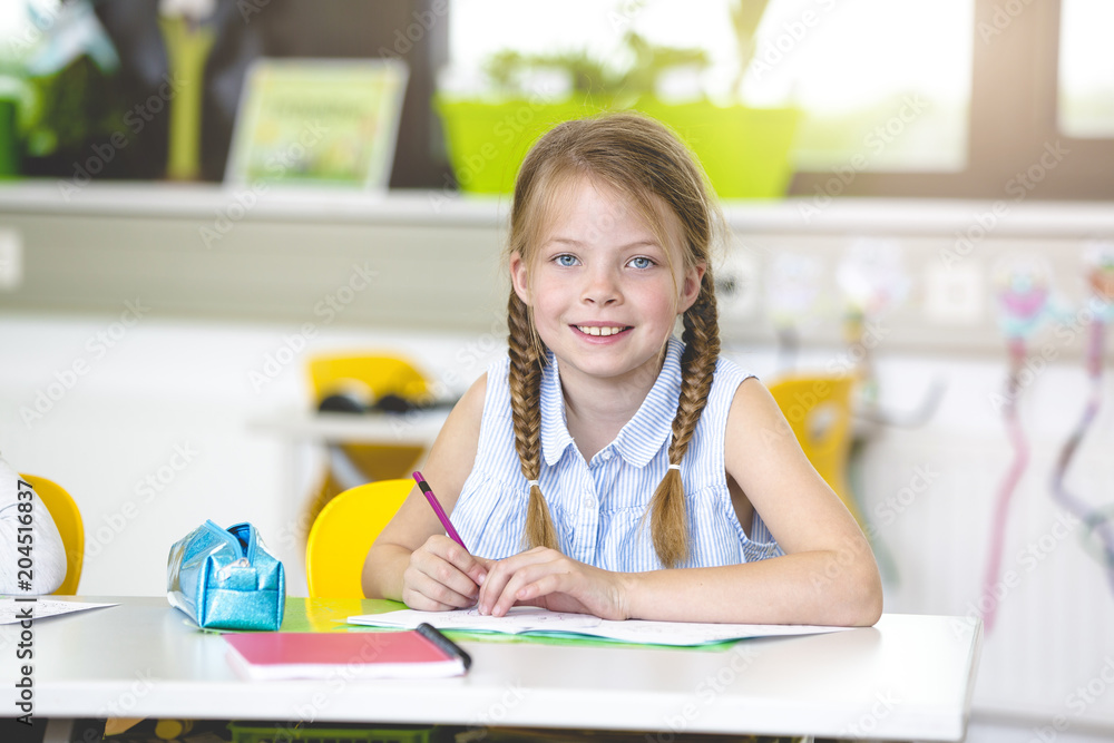 At school - Happy schoolchild in classroom