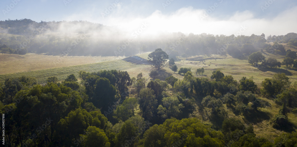 Aerial drone view of a foggy morning in the Scenic Rim, Queensland, Australia Aerial drone view of a foggy morning in the Scenic Rim, Queensland, Australia