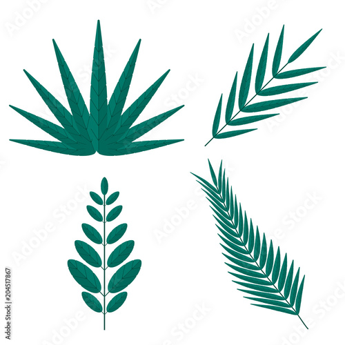 Tropical palm tree branches. Set of green decorative elements in flat style showing different shapes of leaves.