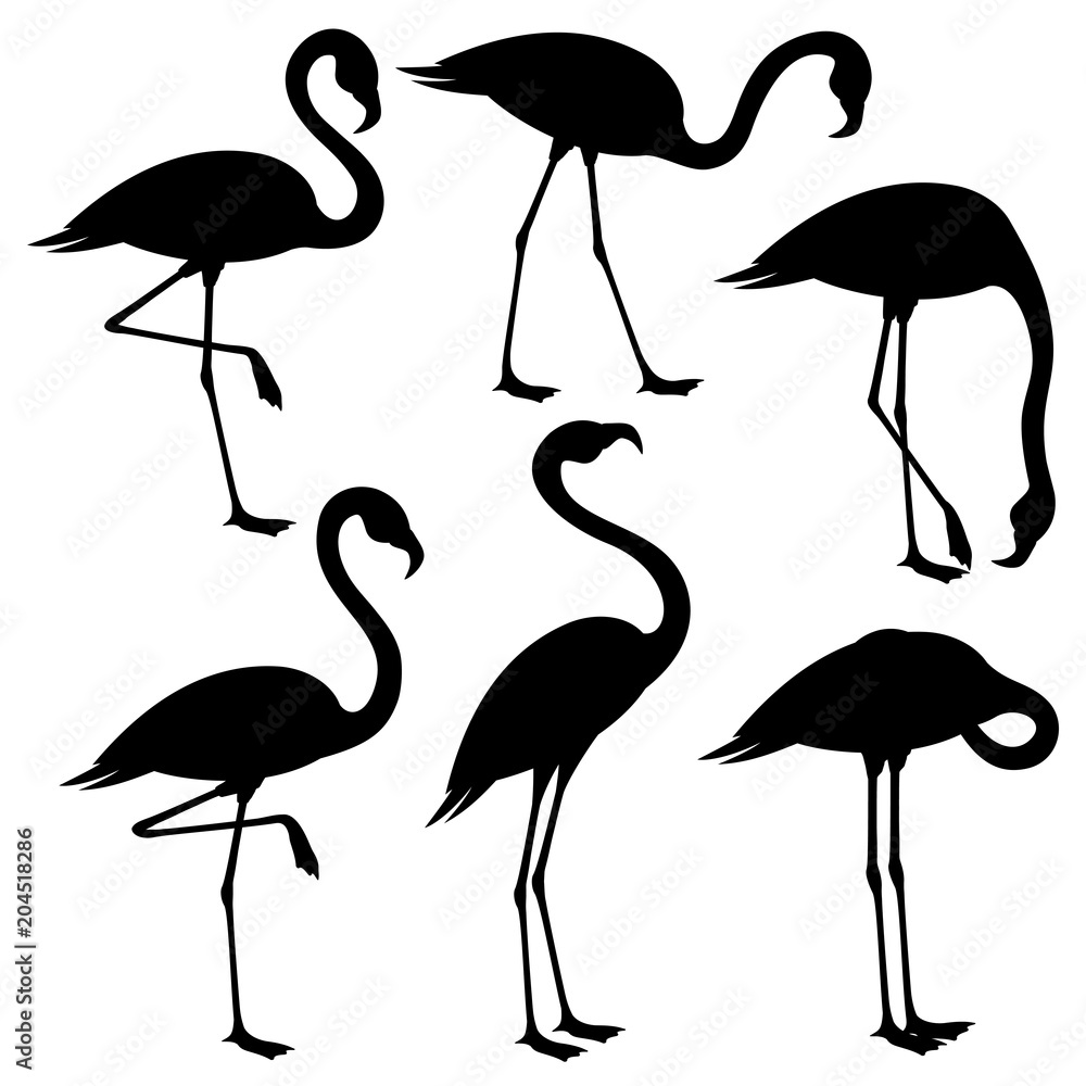 Naklejka premium Set of black flamingos on white background.