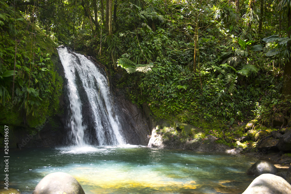 Fototapeta premium Paysage de la Guadeloupe intérieure, la Cascade aux Écrevisses le long de la route de la Traversée