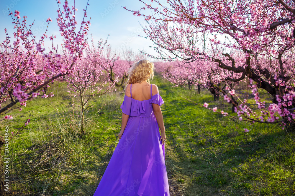 a beautiful woman in a purple dress stands in a blooming pink garden of peaches, a Sunny spring day