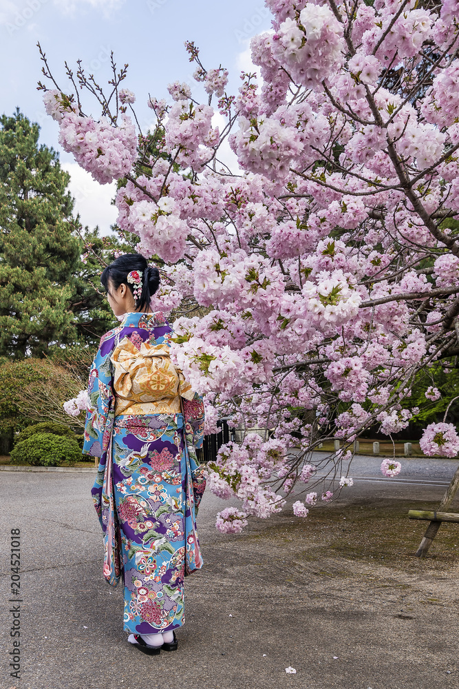 Girl with kimono near a cherry tree in bloom in spring season, Japan Girl with kimono near a cherry tree in bloom in spring season, Japan