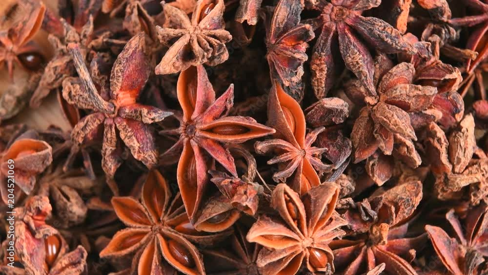 Loop able background of anise stars Loop able background of anise stars
