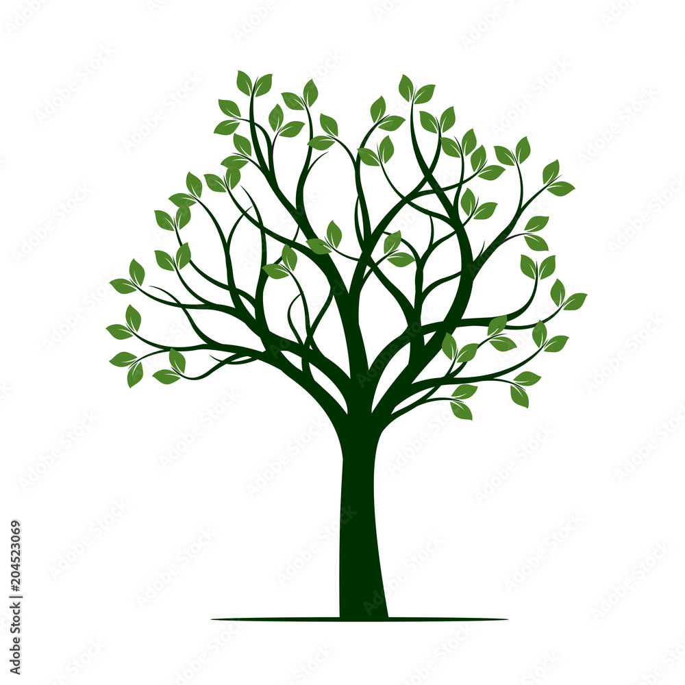 Green Spring Tree. Vector Illustration. Green Spring Tree. Vector Illustration.
