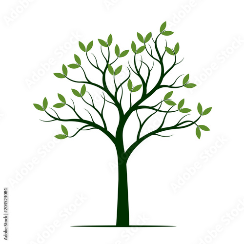 Fototapeta Naklejka Na Ścianę i Meble -  Green Spring Tree. Vector Illustration.
