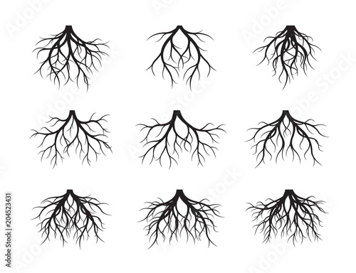 Set of Black Roots Tree. Vector Illustration.
