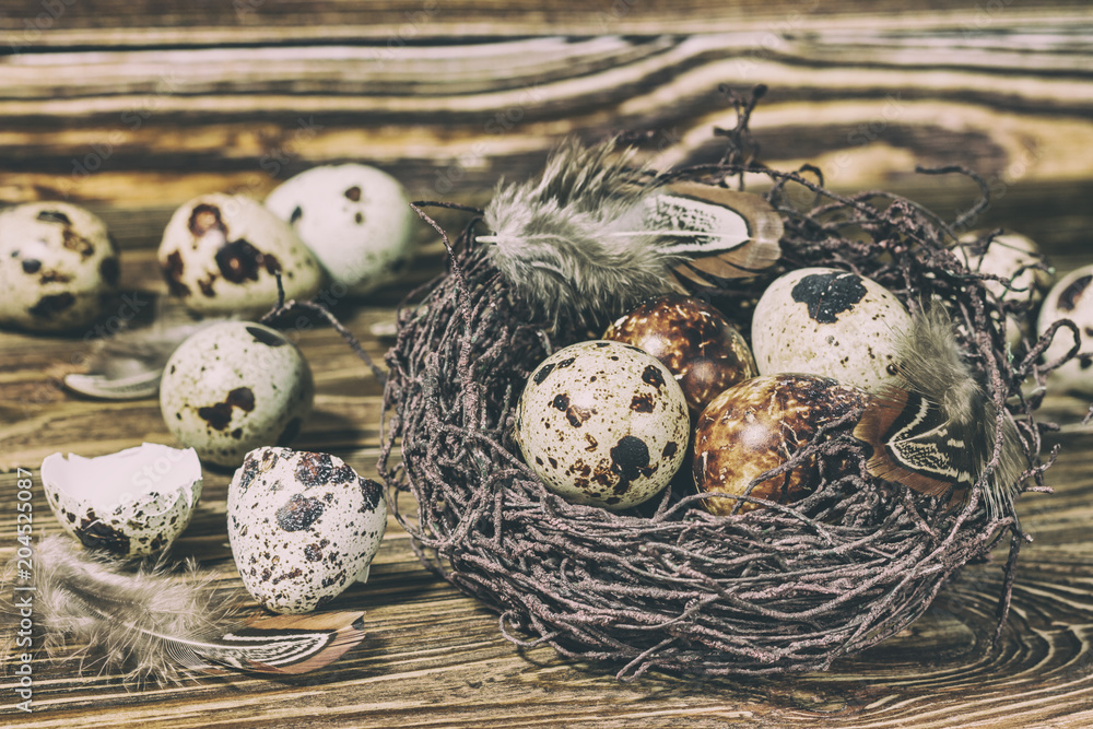 Rustic still life - quail eggs in nest on rough concrete surface, , rustic background. Easter still life, postcard. Rustic still life - quail eggs in nest on rough concrete surface, , rustic background. Easter still life, postcard.