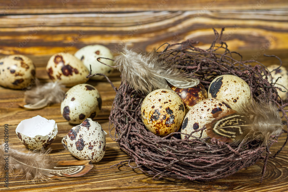 Rustic still life - quail eggs in nest on rough concrete surface, , rustic background. Easter still life, postcard. Rustic still life - quail eggs in nest on rough concrete surface, , rustic background. Easter still life, postcard.