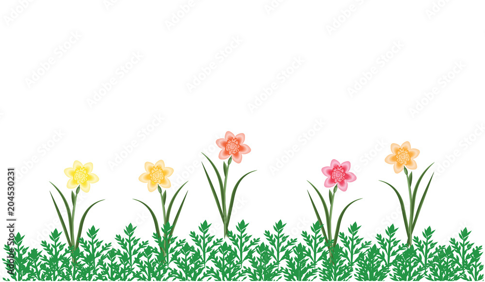 Frame border - yellow daffodils and green grass - isolated on white background - art vector.