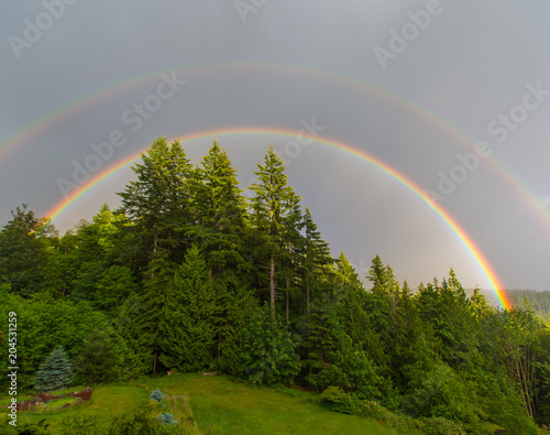 Double Rainbow over Forest in Washington