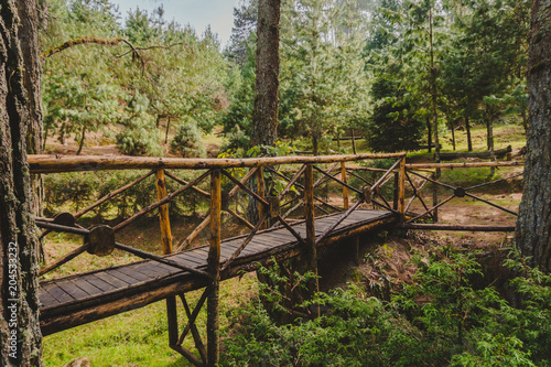 Puente de madera © saul